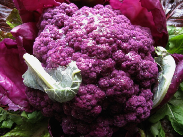 purple cauliflower